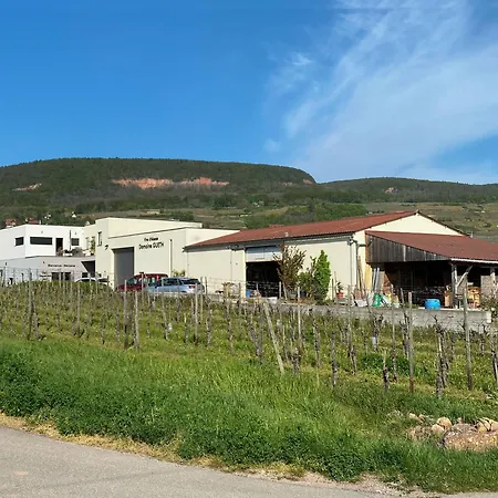 La Aux Bouteilles - Domaine Gueth - Vins D'alsace Et Oenotourisme Bed & Breakfast *